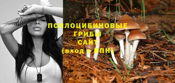 марихуана Баксан