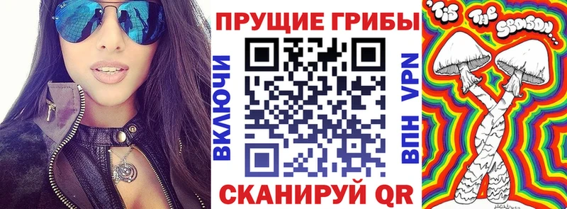 ссылка на мегу маркетплейс  купить наркоту  Кодинск  Галлюциногенные грибы мухоморы 